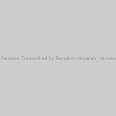 Image of Universal cDNA Reverse Transcribed by Random Hexamer: Human Normal Tissues